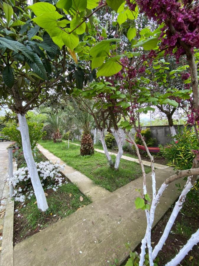 Villa Jakos Paradise Batumi Exteriör bild